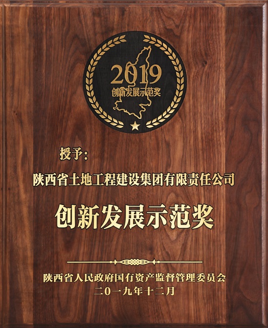 2019年創新發展示范獎 .jpg